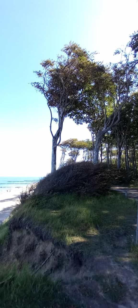 Familienurlaub Mit Hund An Der Ostsee Admannshagen-Bargeshagen Екстериор снимка
