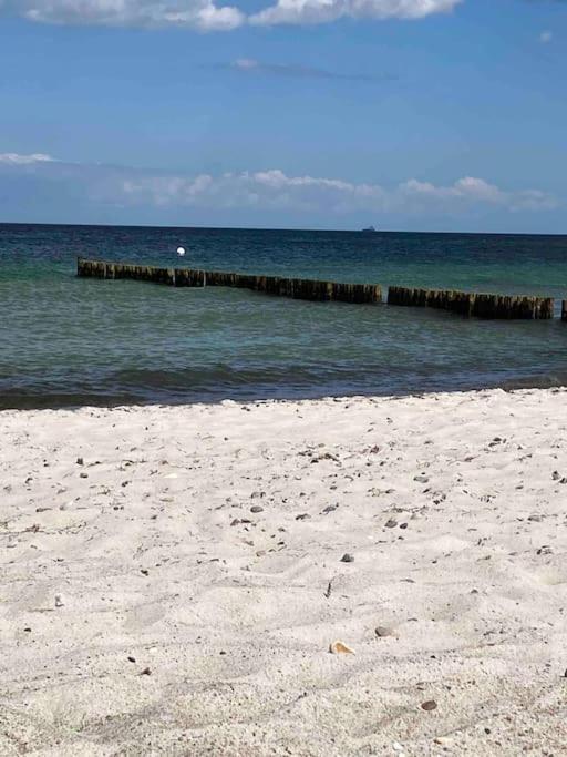 Familienurlaub Mit Hund An Der Ostsee Admannshagen-Bargeshagen Екстериор снимка