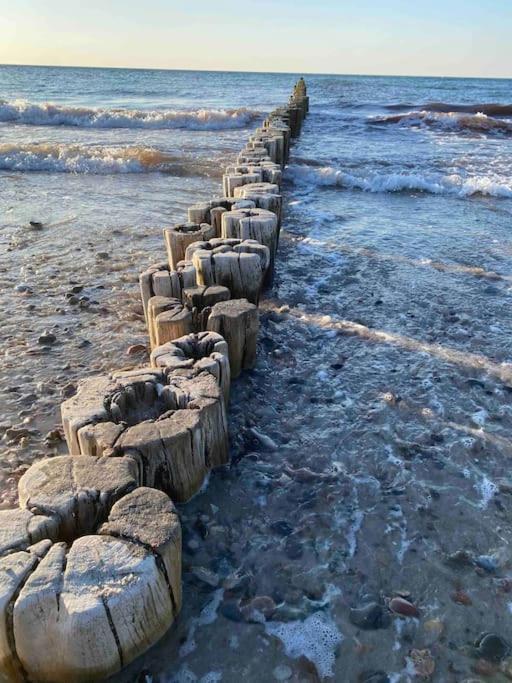 Familienurlaub Mit Hund An Der Ostsee Admannshagen-Bargeshagen Екстериор снимка